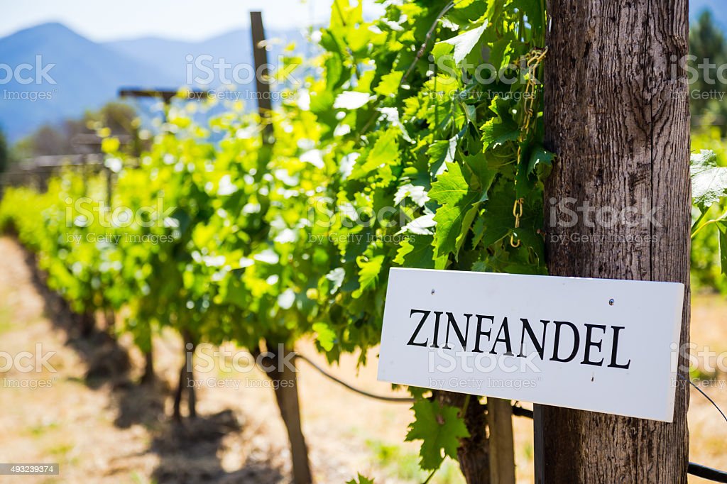 ZInfandel