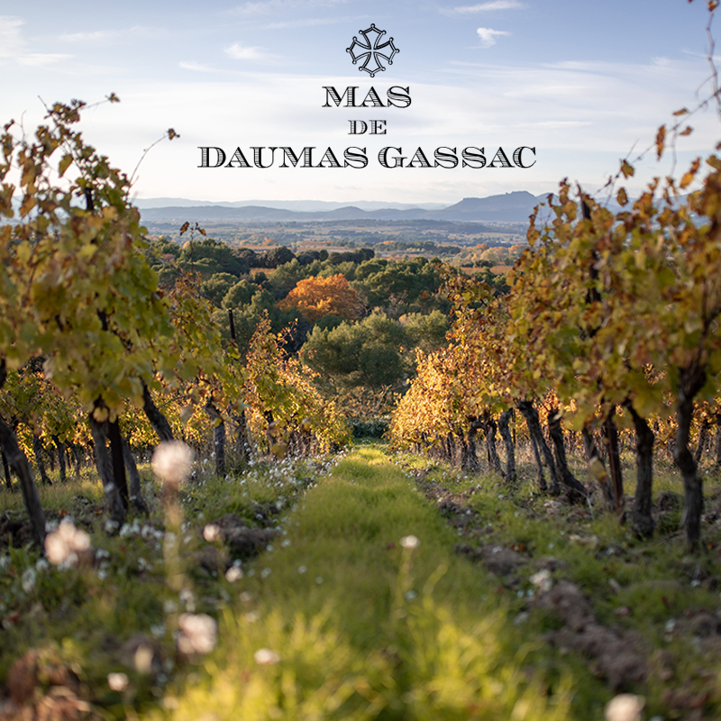 The wines of Mas de Daumas Gassac with owner and winemaker Samuel Guibert - Wednesday 26 March 6pm, The Loft at Harbourside, $65pp