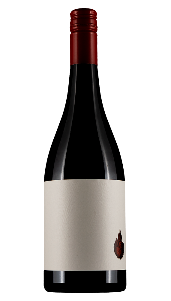 Saorsa Hawke's Bay Syrah 2023